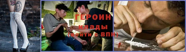 шишки Арсеньев