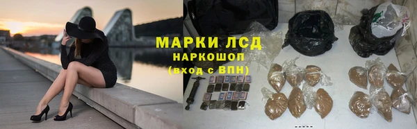 шишки Арсеньев