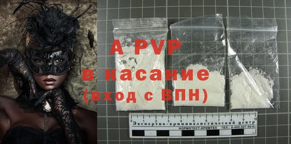 шишки Арсеньев
