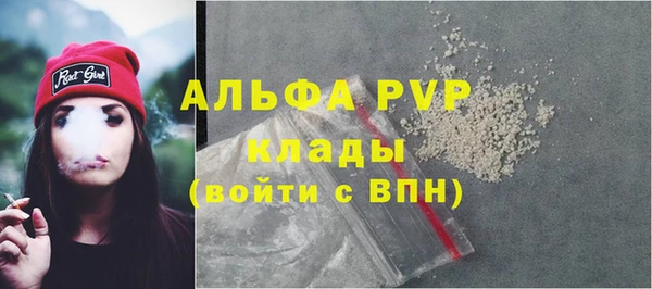 шишки Арсеньев